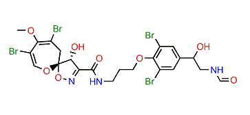 19-Hydroxyceratinamide A